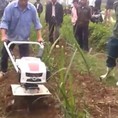 Đại lý chuyên bán các loại máy cày xới, máy cày giá rẻ nhất