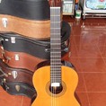 Guitar Aria AC 50 Tây Ban Nha