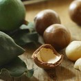 Bán Hạt Mắc Ca Macadamia Giàu Omega 3 Vitamin và Khoáng Chất Nhập Khẩu Từ Úc giá tốt uy tín tại TPHCM