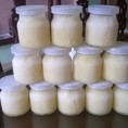 Phân phối sữa ong chúa tươi nguyên chất giá tốt