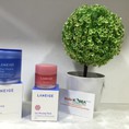 Mặt nạ ngủ cho mặt, LANEIGE Water sleeping Mask