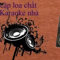 Dàn Karaoke Cao Cấp Với Loa Bose 301 Series V