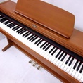 Đàn Piano Điện , Organ Giá Rẻ Nhất Toàn Quốc