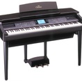 Tất Cả Các Loại Đàn Organ, Piano Điện,Piano Cơ