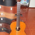 Bán guitar Matsouka No 25 Nhật
