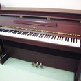 List Piano Điện Vừa Cập Bến Tại Cửa Hàng Nhạc Cụ Minh Phụng
