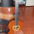 Bán guitar Kurosawa Nhật