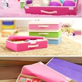 Hộp đựng đồ lót 16 ngăn tiện dụng