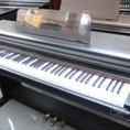Trung Tâm Piano Chuyên Nghiệp Hồng Nhân