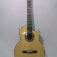 TPHCM Shop đàn guitar Việt Nam giá rẻ