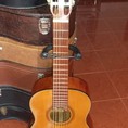 Bán guitar Matsouka No 100 Nhật