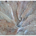 Cá Mối khô tẩm gia vị Đặc sản BRVT