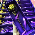 Hoa hồng mạ vàng 24k cho 8/3