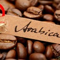 Cà phê Arabica đặc biệt cho vị đắng nhẹ thanh tao quý phái