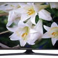Top 4 tivi led sam sung 55 inch :55j6300, 55ju6600, 55ju7000,55js7200 giá rẻ nhất