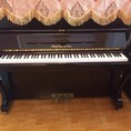 Đàn Piano Shiedmayerr N/a GIÁ RẺ
