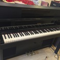 Nhạc Cụ Minh Phụng Phân Phối Tất Cả Các Loại Piano Điện Nhập Khẩu Từ Nhật