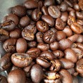 Cung cấp cà phê hạt rang nguyên chất, cà phê sạch ở TP HCM