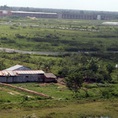 Cho thuê đất trống tại Hà Nội 3500m2 gần cầu Thanh Trì Hà Nội
