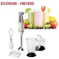 Máy xay sinh tố cầm tay Ecosun HB1920
