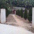 Bán đất nhà ở làm trang trại tại xã Bảo Hưng huyện Trấn Yên tỉnh Yên Bái.
