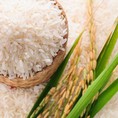 Gạo hữu cơ, Gạo lứt hữu cơ Quế Lâm 100% tự nhiên đạt tiêu chuẩn VietGap