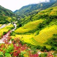 Tour Hà Nội Sapa Hà Nội
