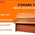 Bộ đôi Piano đang giảm giá tháng 7
