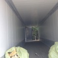 432 Cần bán kho lạnh container 40 feet mới 90%