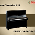Đàn Piano Yamaha dưới 37 triệu, nhanh tay lên số lượng có hạn
