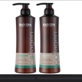 Cặp dầu gội và xả COLLAGEN HANEDA phục hồi tóc nhuộm và uốn