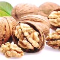 Chuyên cung cấp sỉ và lẻ hạt óc chó và các loại hạt dinh dưỡng