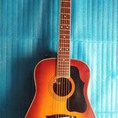 Bán acoustic guitar Morris MG 62E size nhỏ