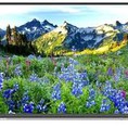 Sale giá rẻ Tivi Toshiba 49inch 49L3650 tivi thế hệ mới Kết nối dễ dàng, ngày tràn hứng khởi