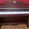 Đàn piano điện giá rẻ bất ngờ