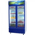 tủ mát 2 cánh mở sanaky 1000 lít viền xanh, bảo hành 12 tháng.