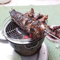 Bếp nướng than hoa không khói Najico BN300,BN02,Lotusgrill LG435