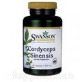 Bán Buôn, Bán Lẻ Đông Trùng Hạ Thảo Swanson Cordyceps Sinensis Toàn Quốc