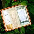 Sỉ và lẻ Set OHUi Perfect sun red SPF50 Special chỉ 475k