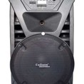 Loa Kéo Di Động Caliana Pro 15FA 4 Tấc