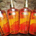 Chuyên sỉ Xịt thơm Victoria Secret Amber Romance chỉ 185k
