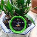 Mặt nạ than tre hoạt tính hút chì trị mụn Greenbon