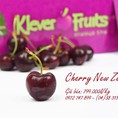 Cherry đỏ New Zealeand đầu mùa tại Klever Fruits