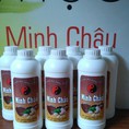Phương pháp giảm mỡ bụng và thâm rạn sau sinh tại nhà bằng muối, gừng, ngải cứu