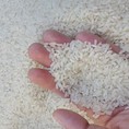 Gạo tám ngon Đài loan