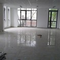 Nhà phố khu ngọc khánh 100m2 x 5 tầng thông mt 6,9m cần cho thuê ...