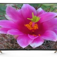 Phá giá thị trường Tivi TCL 65P2 UF 65inch Smart, Android, 4K, Full HD giá rẻ