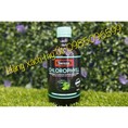 Nước diệp lục swisse 500ml