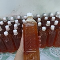 Mật ong rừng tràm nguyên chất 100%