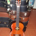 Guitar Morris M 30 Nhật